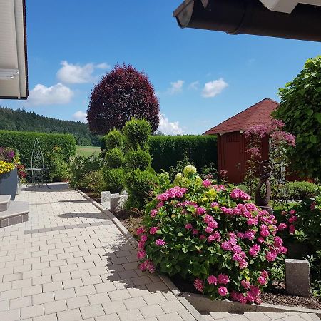 Ferienwohnung Toni Mit Balkon Und Garten Pemfling 외부 사진
