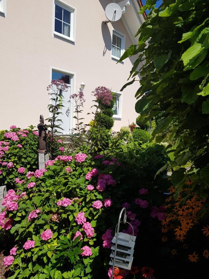 Ferienwohnung Toni Mit Balkon Und Garten Pemfling 외부 사진